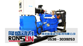 燃?xì)鈩?dòng)力